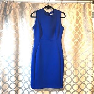 Blue Calvin Klein Sheath Shell Scuba Dress 6 EUC